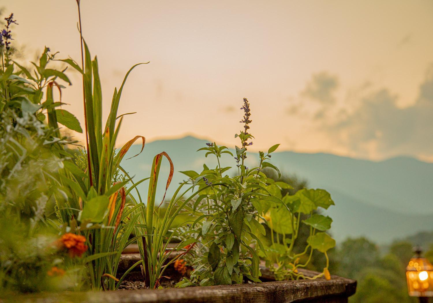 Mount Mitchell Eco Retreat Villa Busick Exterior foto